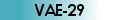VAE-29